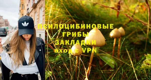 герыч Алексеевка
