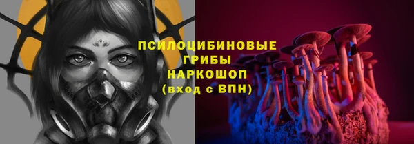 apvp Алексин