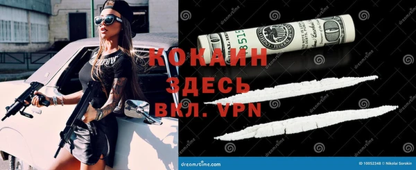 apvp Алексин