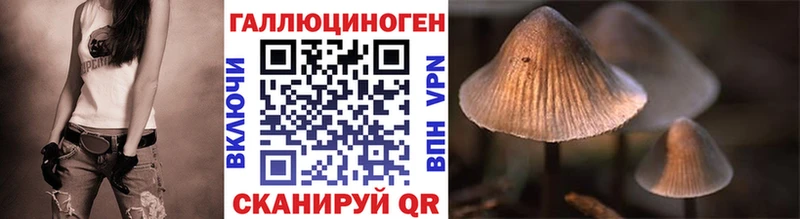Псилоцибиновые грибы GOLDEN TEACHER  Бакал 